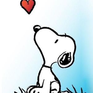 Meet your Posher, Stephenie